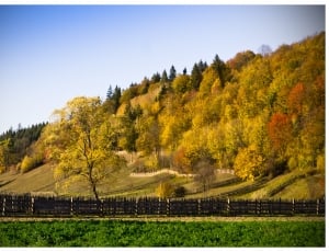 brown wooden fences beside green field during daytime thumbnail