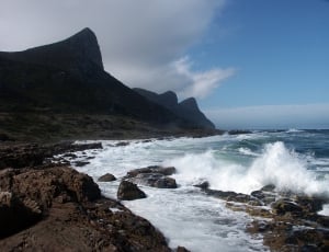 South Africa, Cape Point, Western Cape, outdoors, nature thumbnail