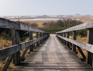 photo of wooden stairways near tress and body of water during daytime thumbnail