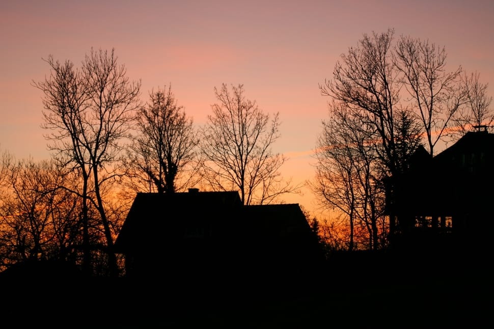 silhouette of bare trees and house during sunset preview