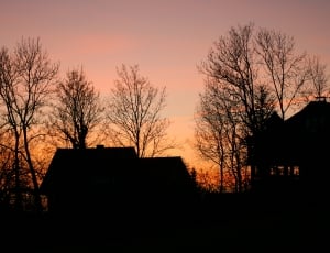 silhouette of bare trees and house during sunset thumbnail