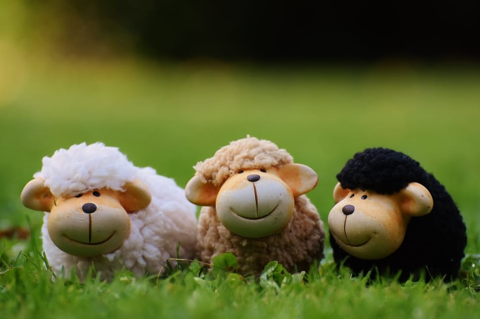 3 sheeps plush toy preview