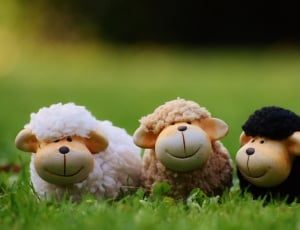 3 sheeps plush toy thumbnail