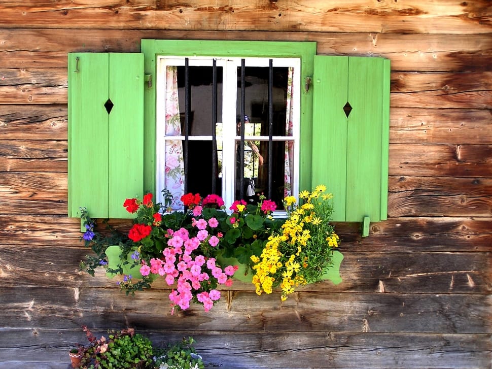 green wooden window with assorted flowers preview