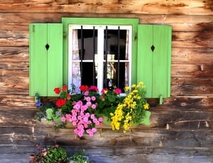 green wooden window with assorted flowers thumbnail