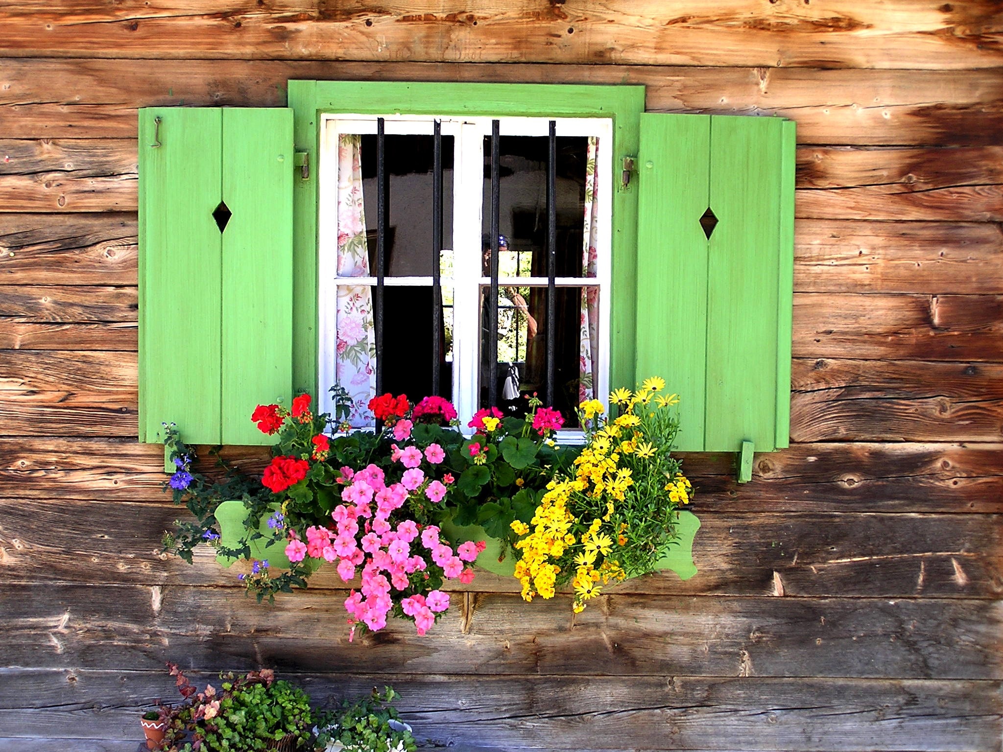 green wooden window with assorted flowers