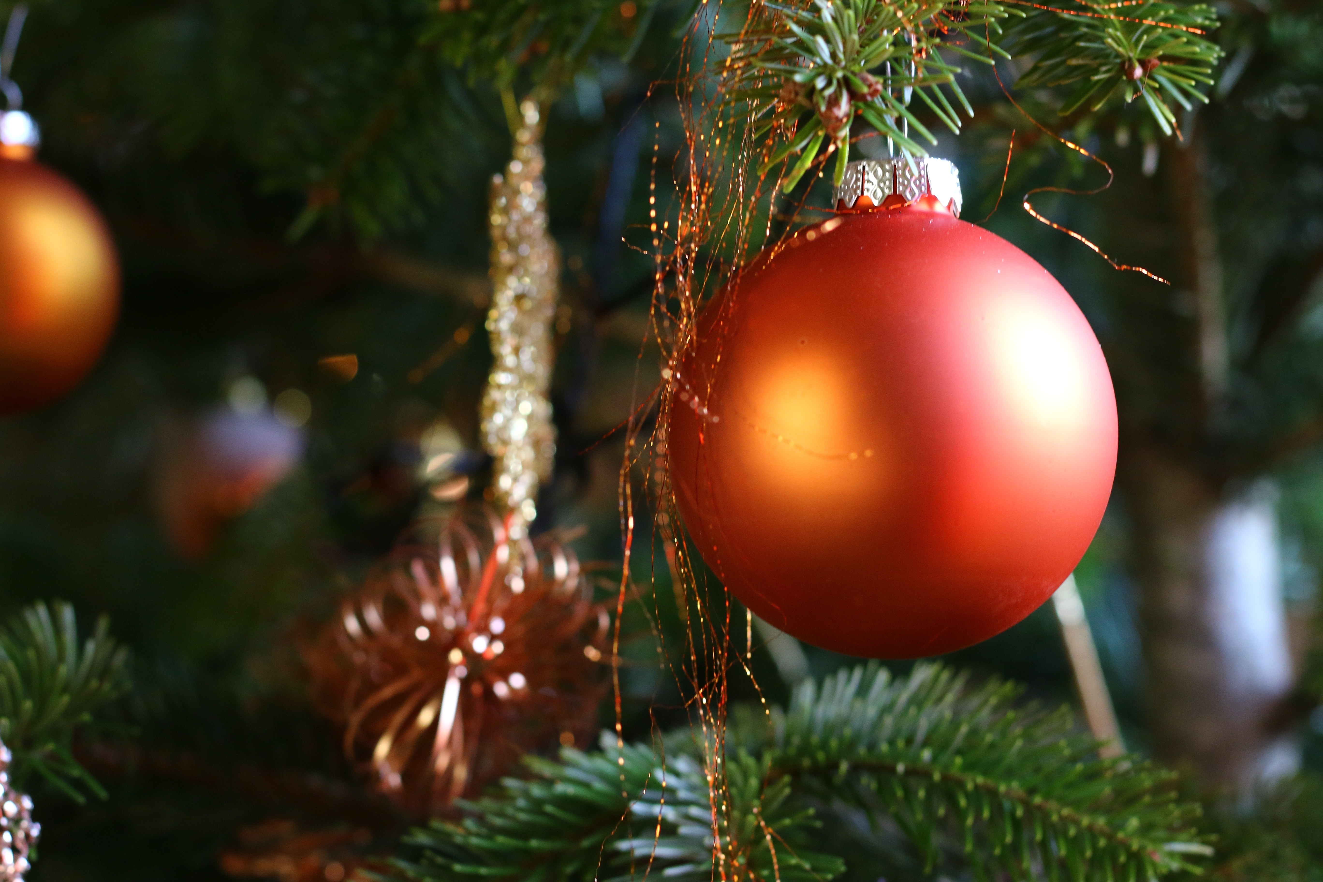 Decoration, Christmas, Ball, christmas, christmas tree