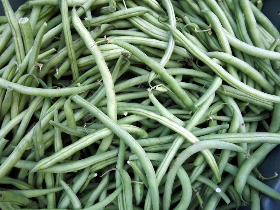 Beans, Garden, Market, Vegetable, green color, full frame preview