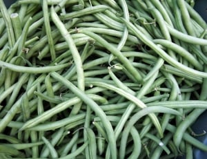 Beans, Garden, Market, Vegetable, green color, full frame thumbnail