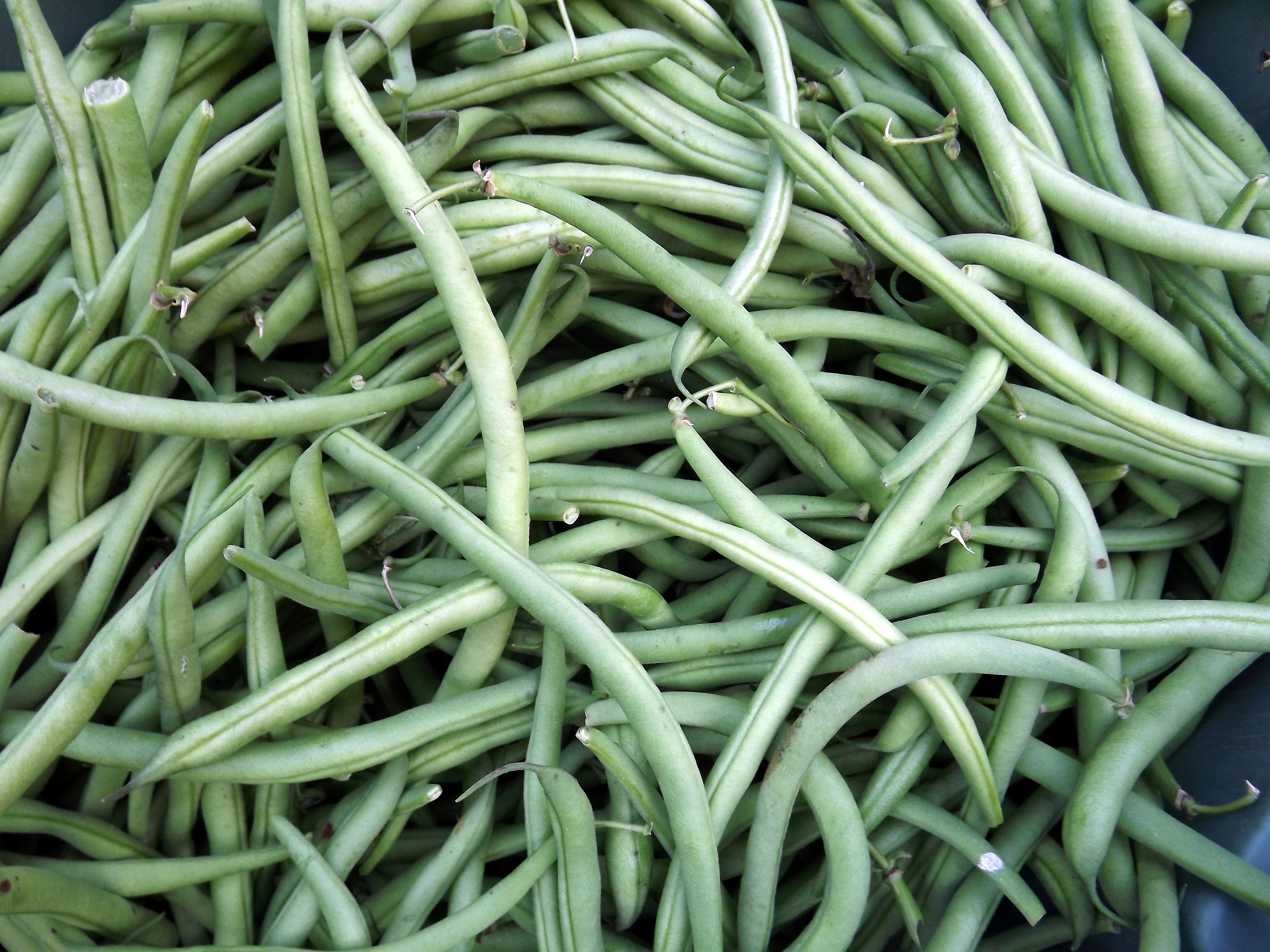 Beans, Garden, Market, Vegetable, green color, full frame