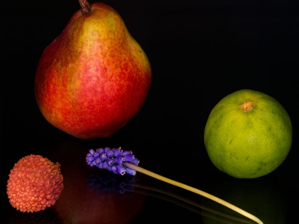 3 fruits and purple plant preview