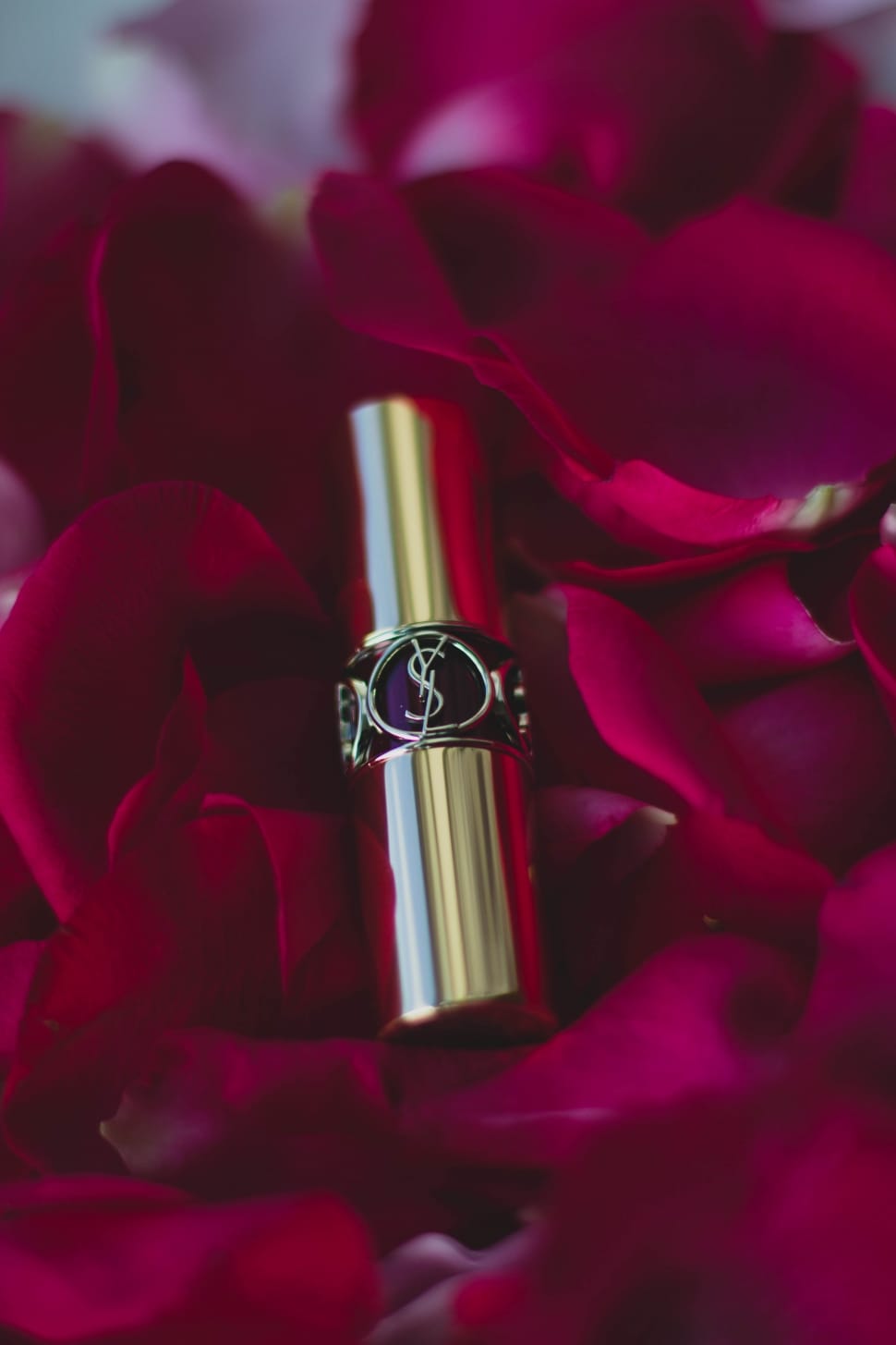 yves saint laurent lipstick surrounded with red rose petals preview