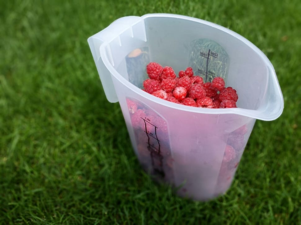 Picnic, Fruits, Raspberries, grass, strawberry preview