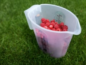 Picnic, Fruits, Raspberries, grass, strawberry thumbnail