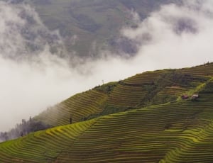 green rice terraces during daytime thumbnail