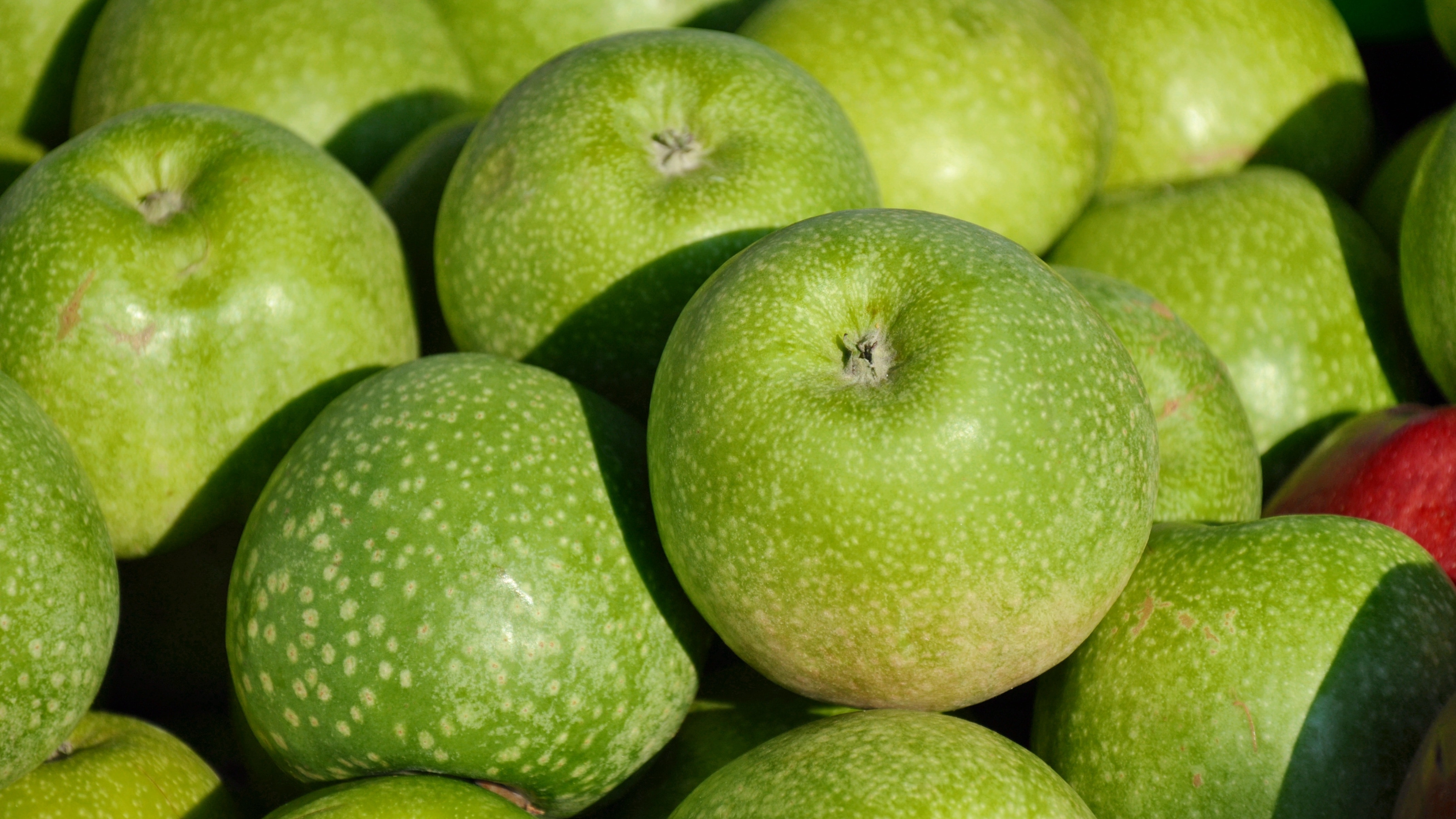 green round fruits