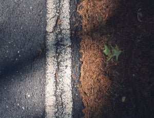 gray concrete pavement thumbnail