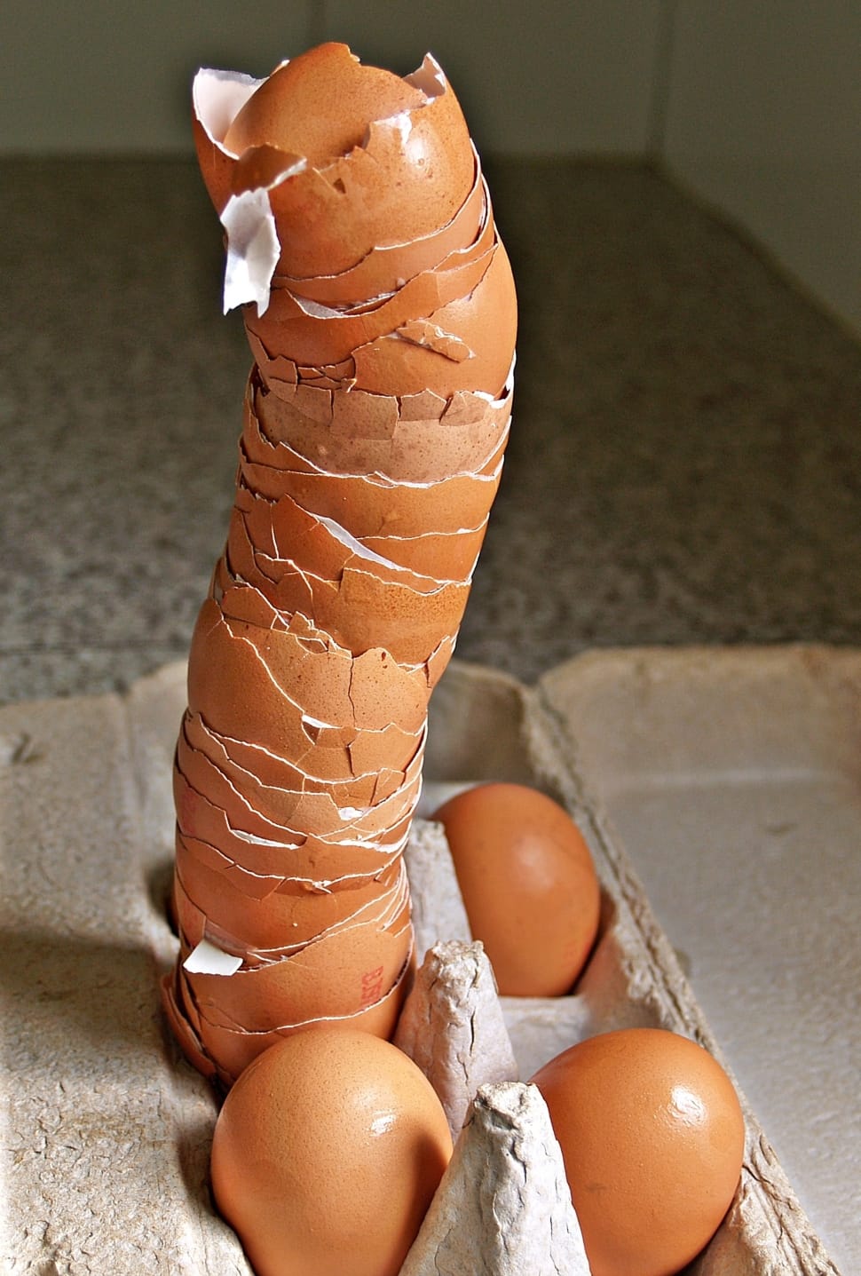 brown egg shells and 3 eggs preview