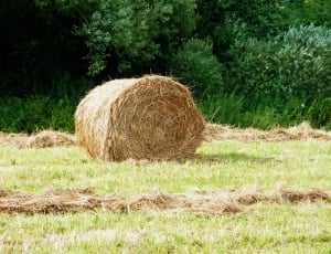 Arable, Harvested, Agriculture, bale, hay thumbnail