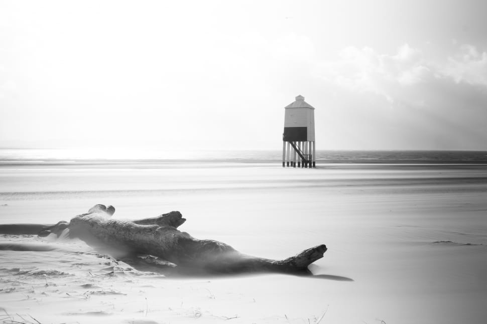 grey scale photo of log and wooden tower in the seashore preview