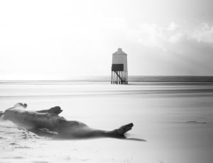 grey scale photo of log and wooden tower in the seashore thumbnail