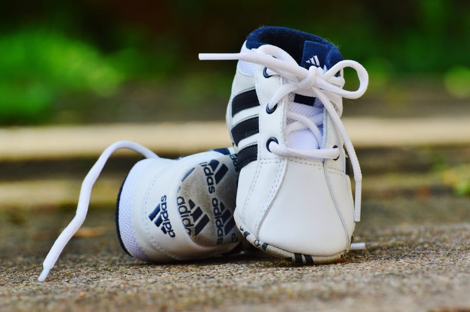 baby's white and blue Adidas sneakers macro photography preview