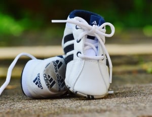 baby's white and blue Adidas sneakers macro photography thumbnail