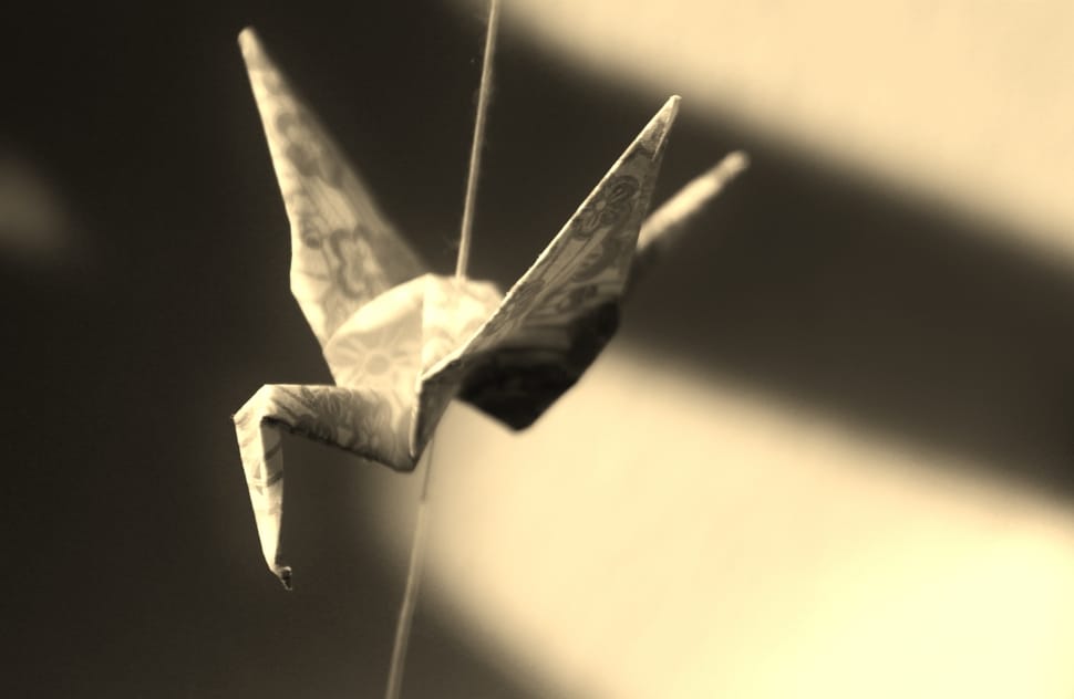 Origami, Bird, Paper, Shadow, Tinker, no people, black color preview