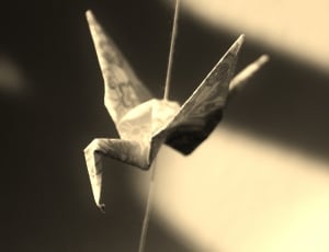 Origami, Bird, Paper, Shadow, Tinker, no people, black color thumbnail