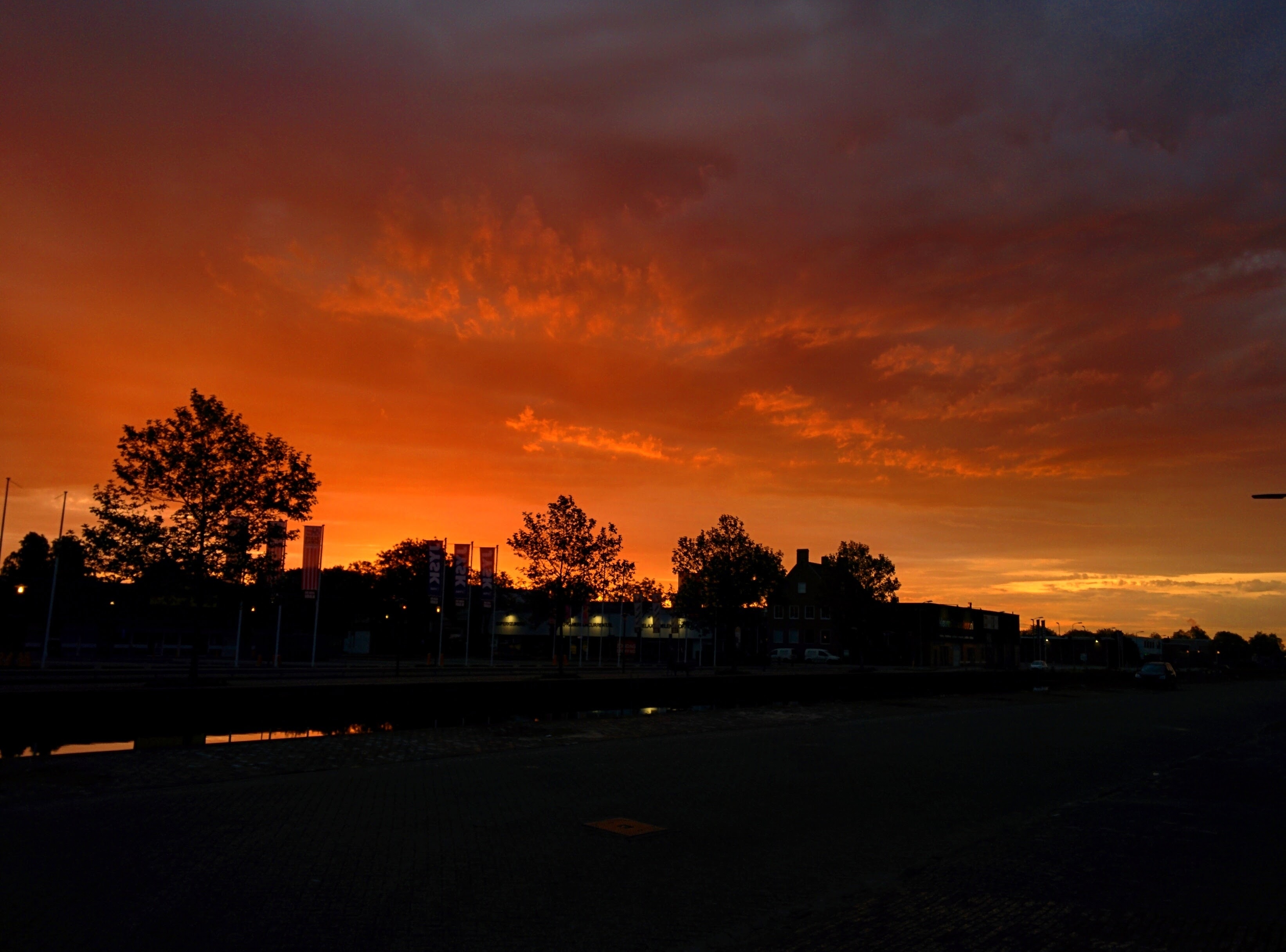 silhouette of trees and houses during sunset