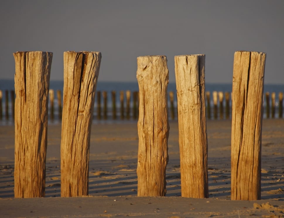 brown wooden shore bridge preview