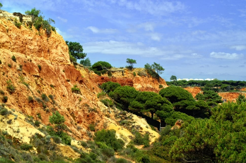 Portugal, Algarve, Red, Rock, tree, nature preview
