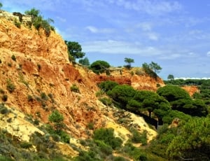 Portugal, Algarve, Red, Rock, tree, nature thumbnail