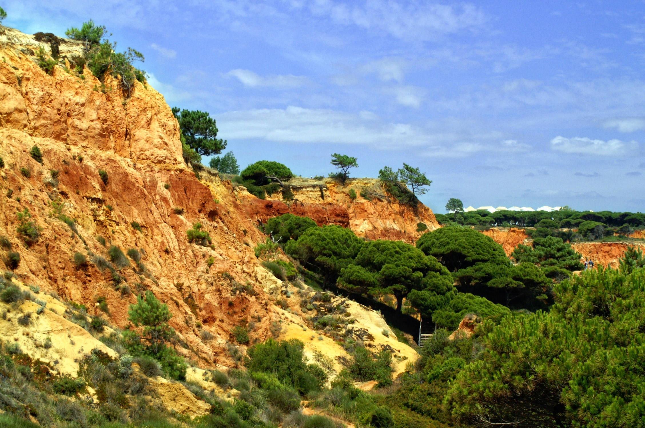 Portugal, Algarve, Red, Rock, tree, nature