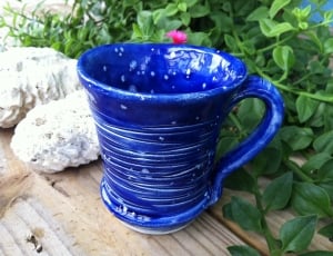 blue ceramic mug beside green leafy plant on brown surface thumbnail