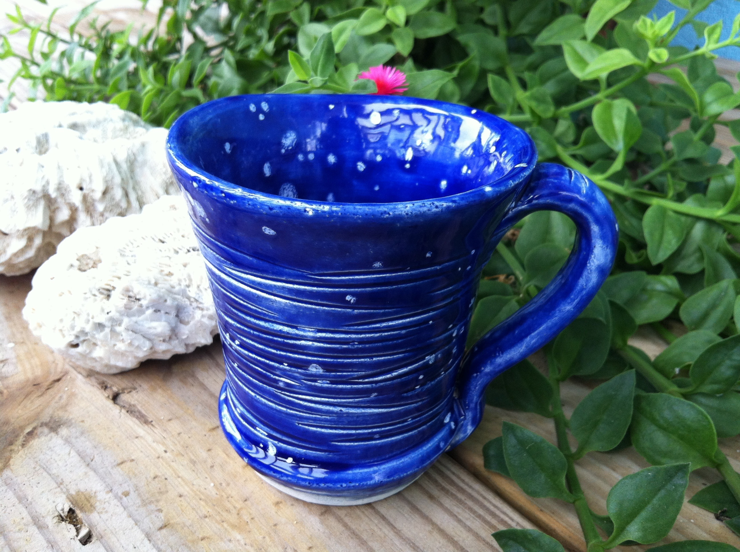 blue ceramic mug beside green leafy plant on brown surface