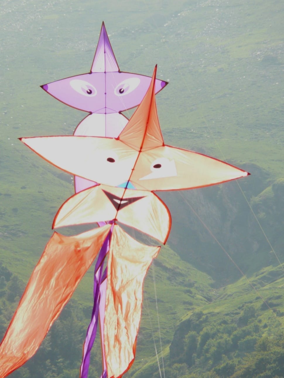 orange and purple star kites preview