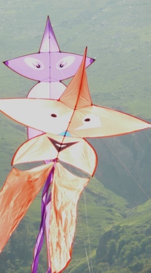 orange and purple star kites thumbnail