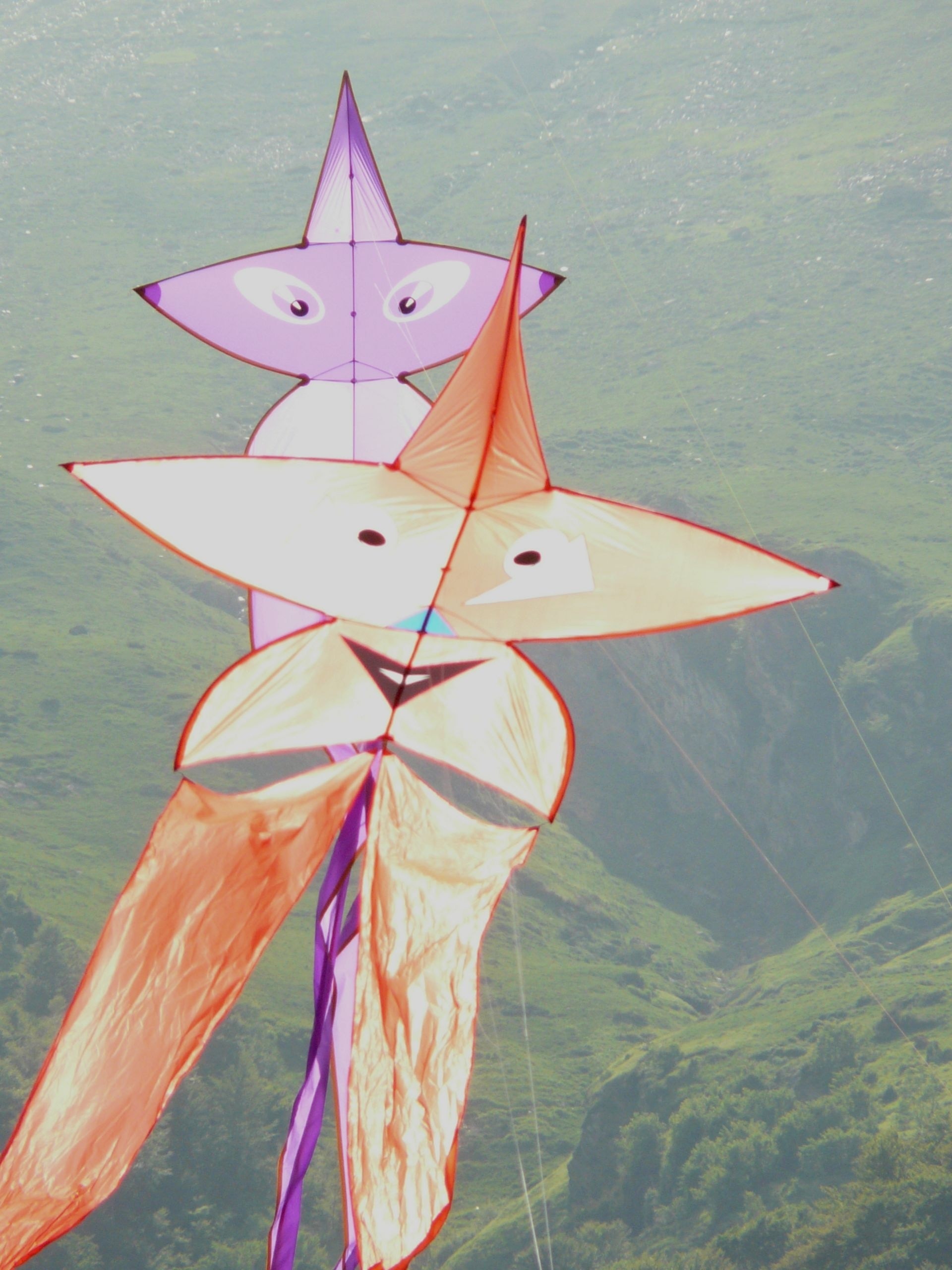 orange and purple star kites