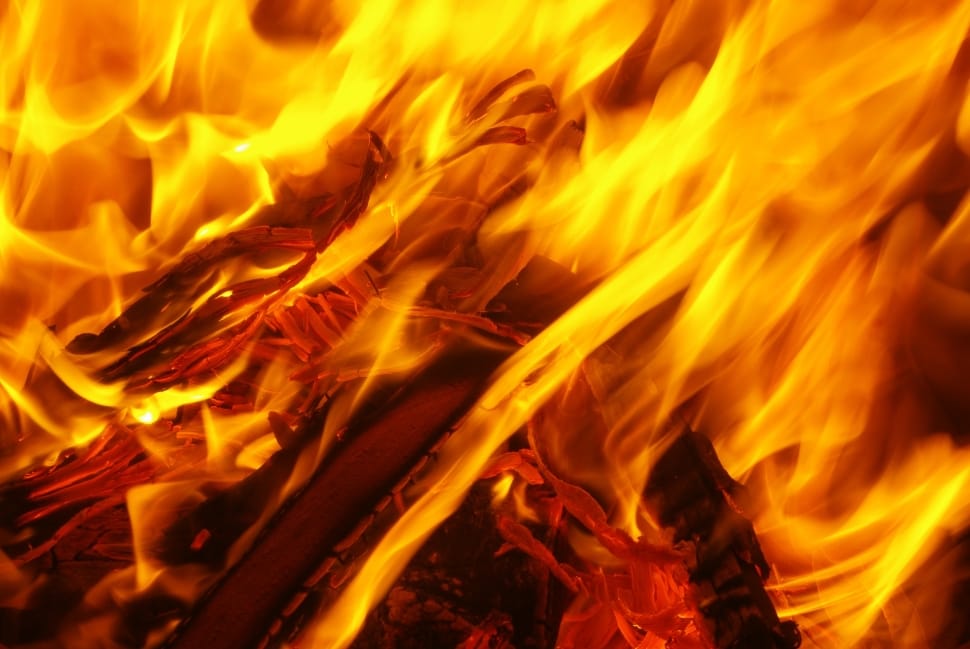 bon fire preview