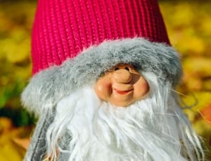 gnome in red and gray fur lined knit cap thumbnail