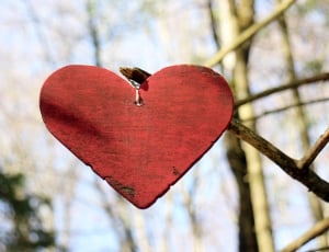 Wooden Heart, Love, Symbol, Wood, Heart, heart shape, love thumbnail