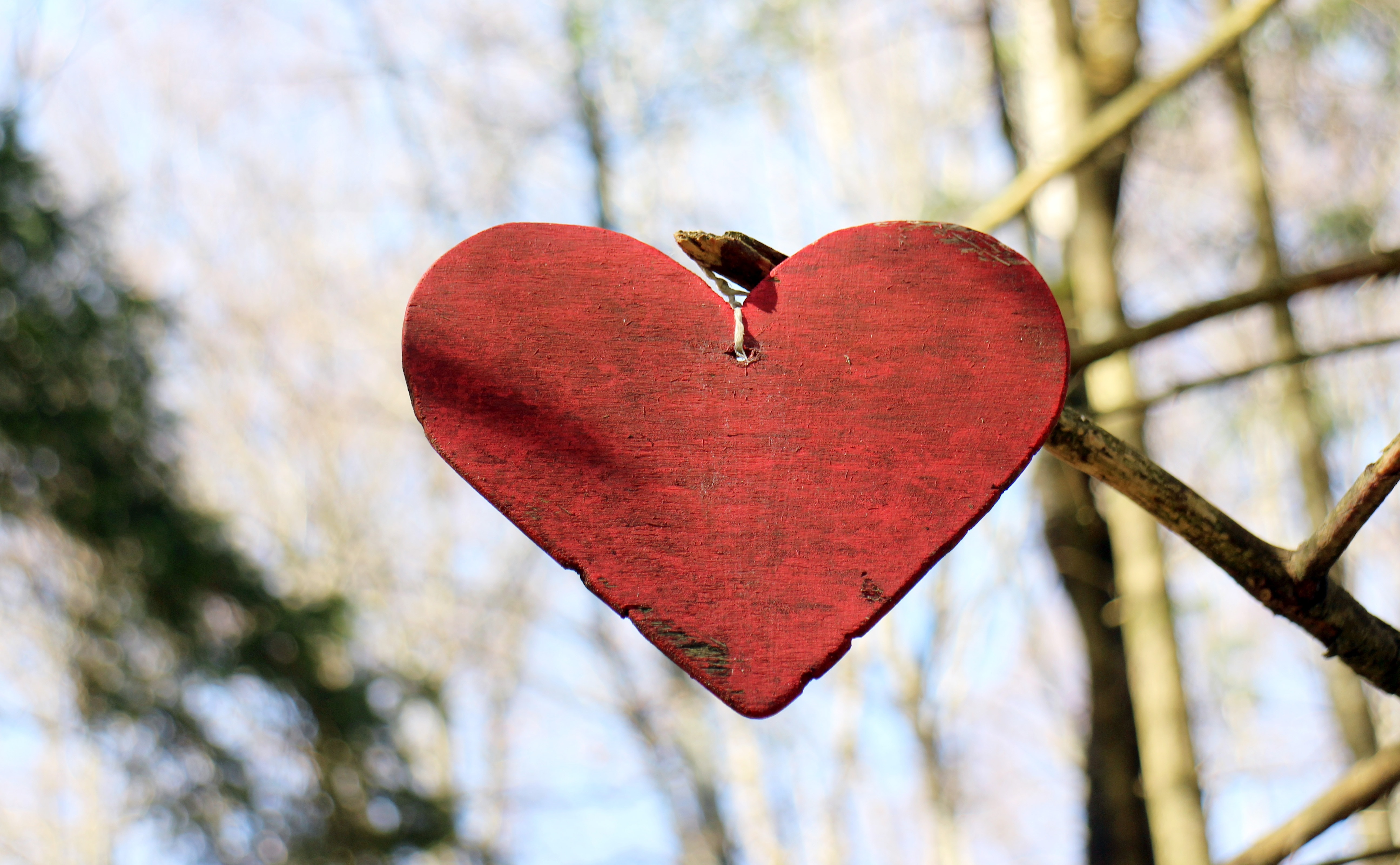 Wooden Heart, Love, Symbol, Wood, Heart, heart shape, love