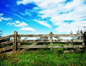 brown wooden fence thumbnail