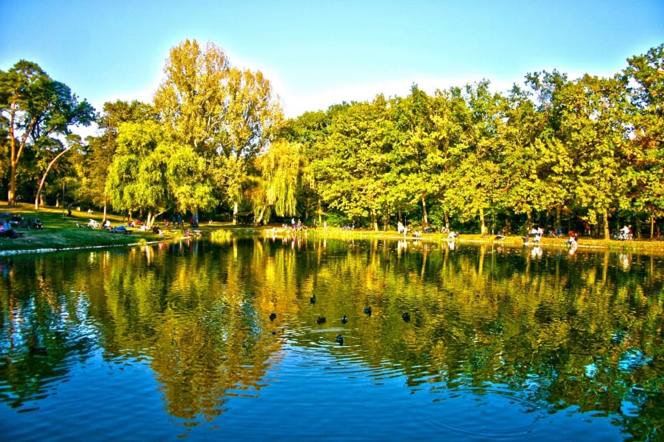 Debrecen, Lake, Békás-Tó, Hungary, Pond, ,  preview