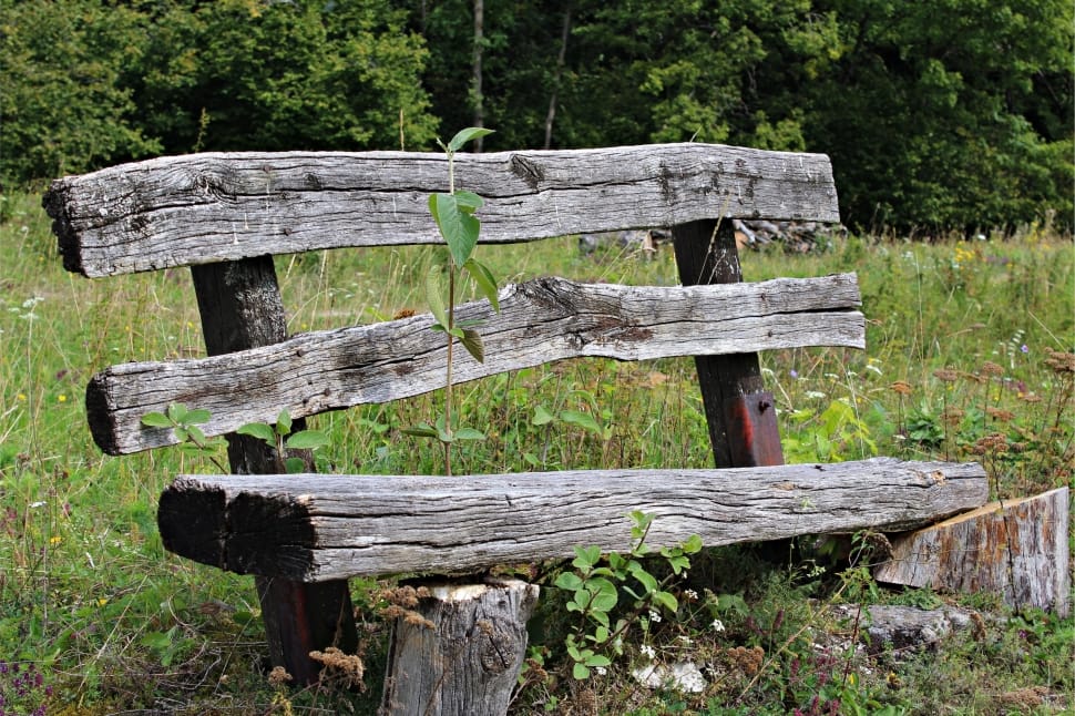 wooden bench in the middle of a green grassy field on a sunny day preview