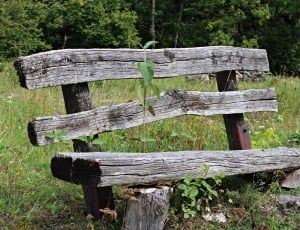 wooden bench in the middle of a green grassy field on a sunny day thumbnail