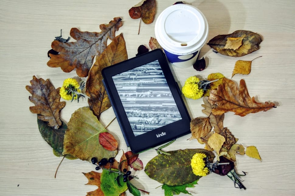 blue Amazon Kindle eBook reader on white wooden table top free image - Peakpx