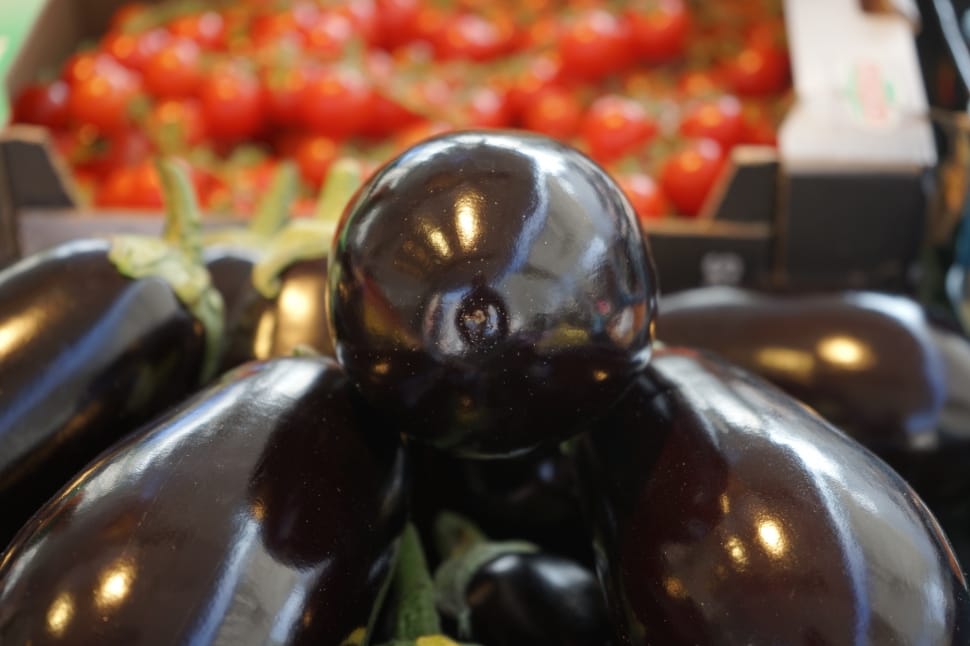 Solanum Melongena, Eggplant, Vegetables, reflection, shiny preview