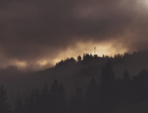 silhouette of forest under cloudy sky thumbnail